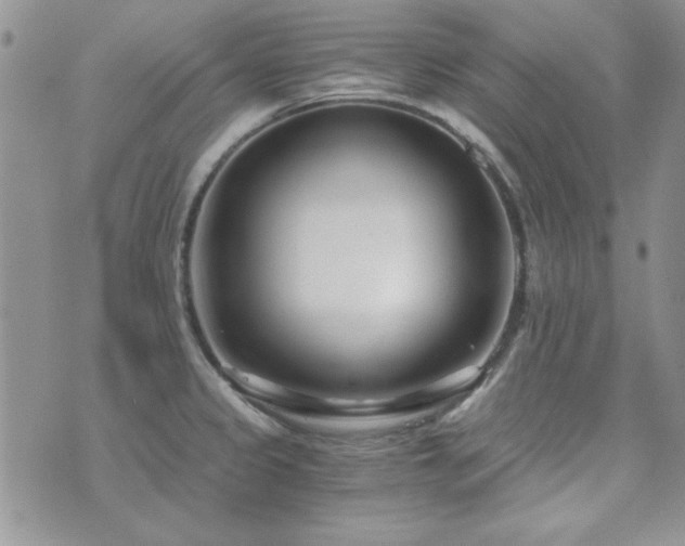 X0000073721333200608031255