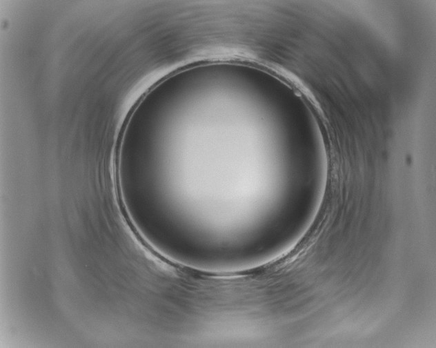 X0000073721343200608031255