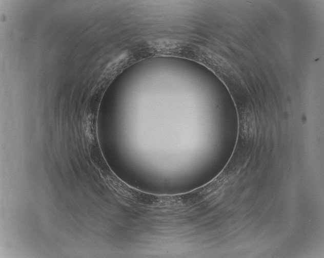 X0000073721346200608031254
