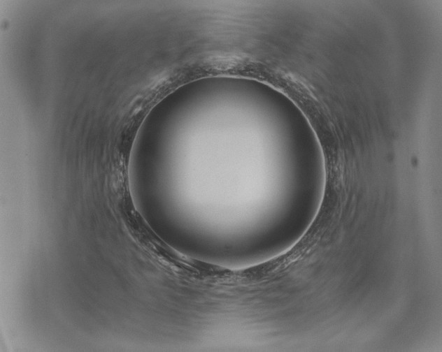 X0000073721349200608031254