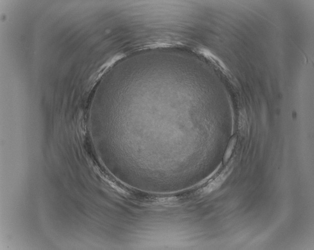 X0000073721353200608031254