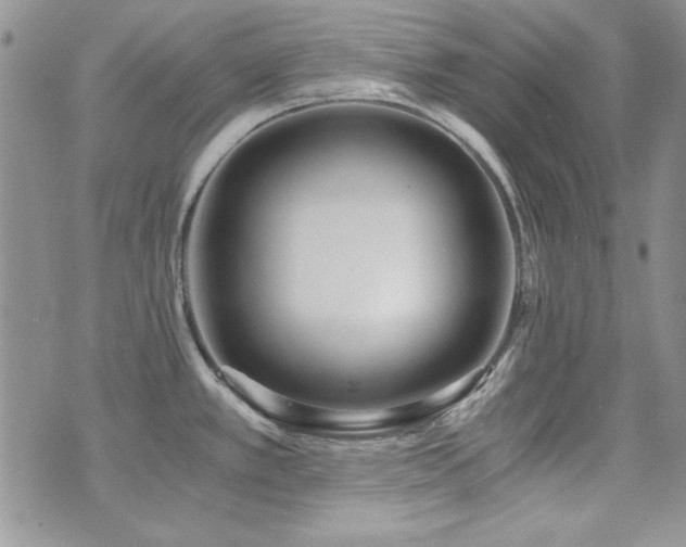 X0000073721389200608031253