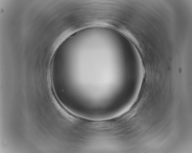 X0000073721391200608031253