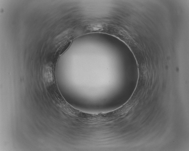 X0000073721442200608031253