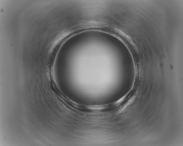X0000073721453200608031252