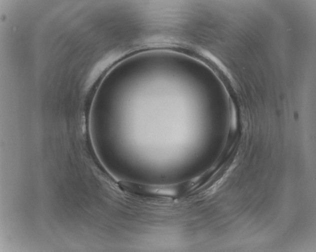 X0000073721461200608031252