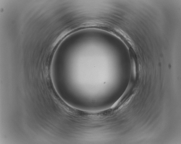 X0000073721465200608031252