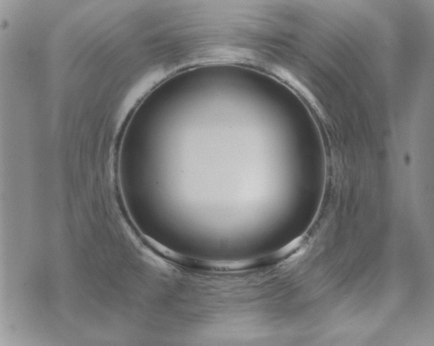 X0000073721477200608031252