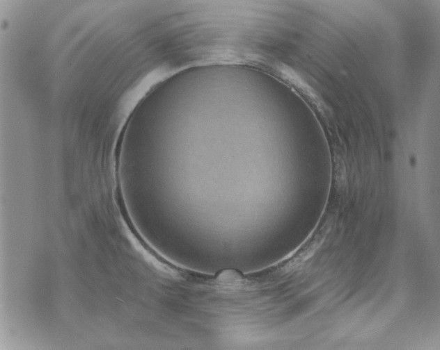 X0000073721479200608031252