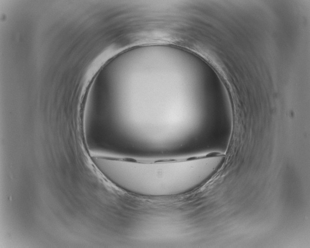 X0000073721488200608031252