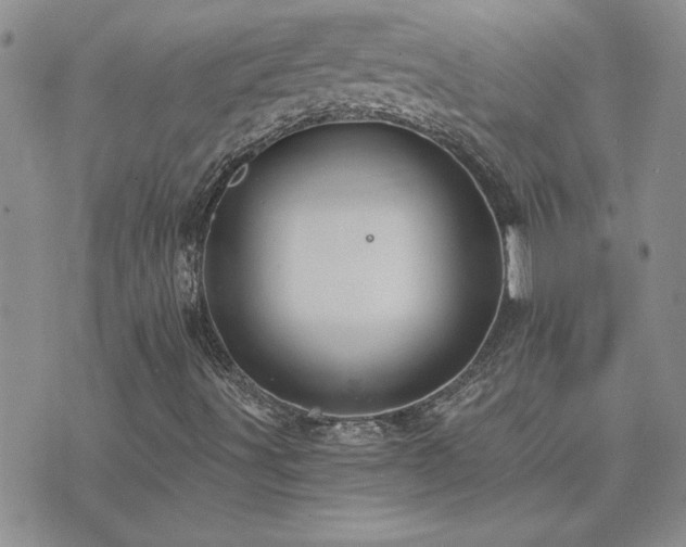 X0000073721491200608031251