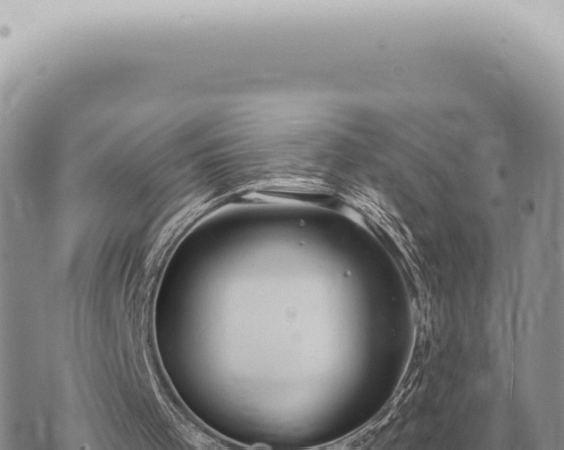 X0000073720001200608101916