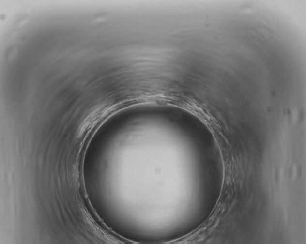 X0000073720002200608101916