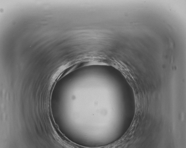 X0000073720003200608101916