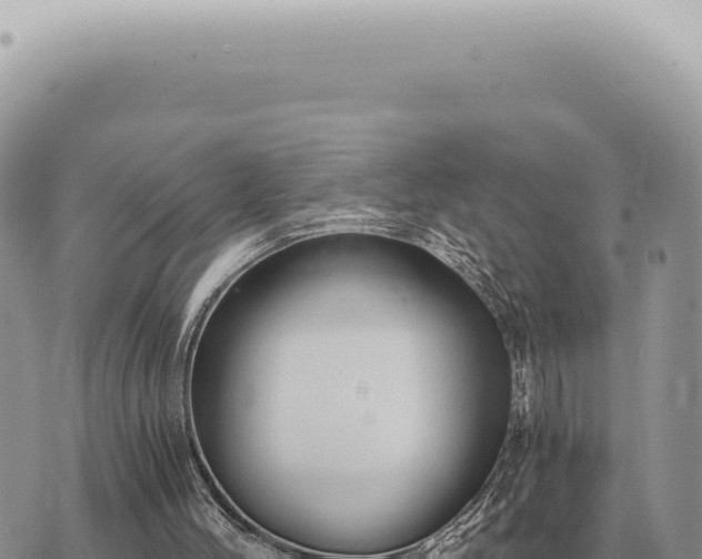 X0000073720004200608101916