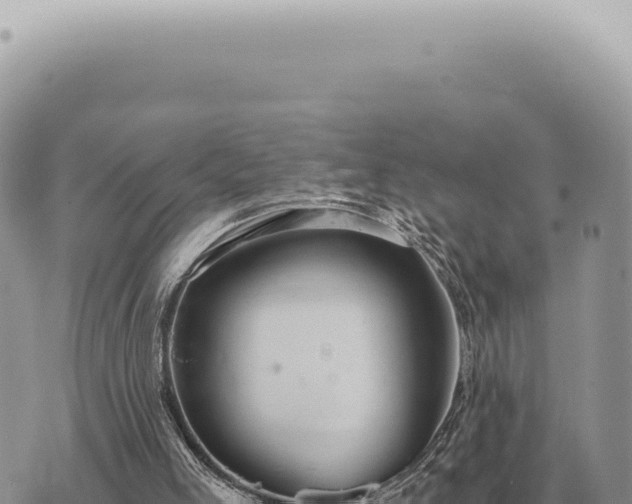 X0000073720005200608101916