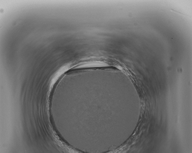 X0000073720006200608101916