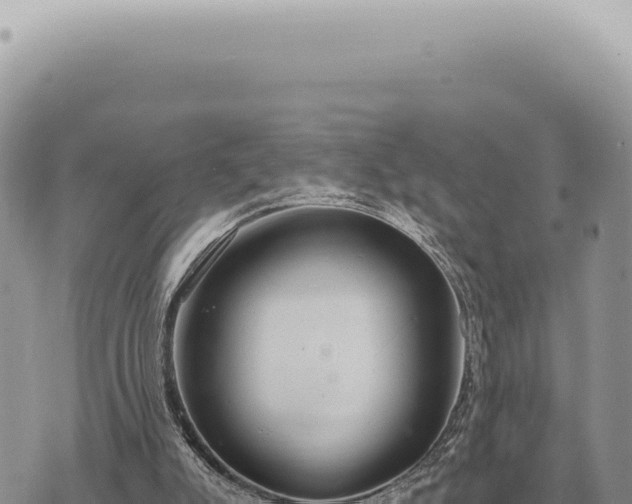 X0000073720007200608101915