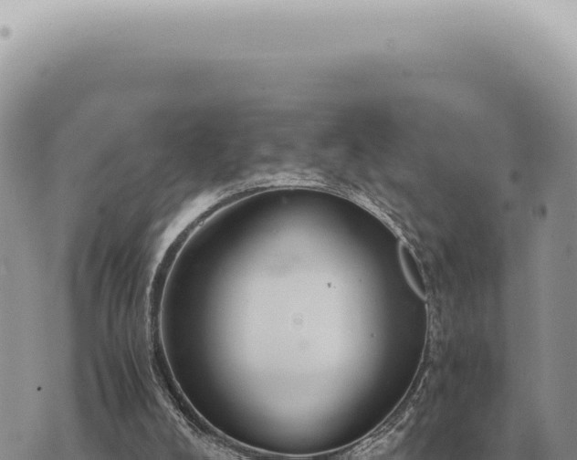 X0000073720008200608101915