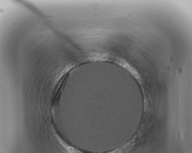 X0000073720009200608101915