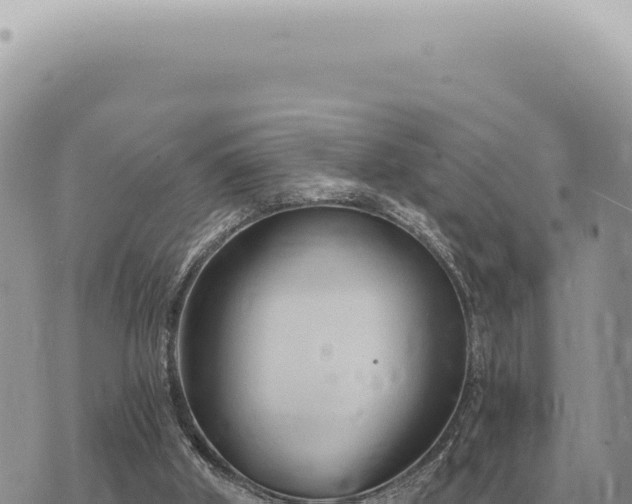 X0000073720010200608101915