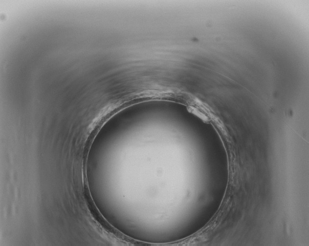 X0000073720011200608101915