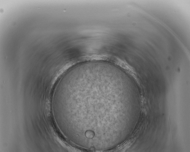 X0000073720012200608101915