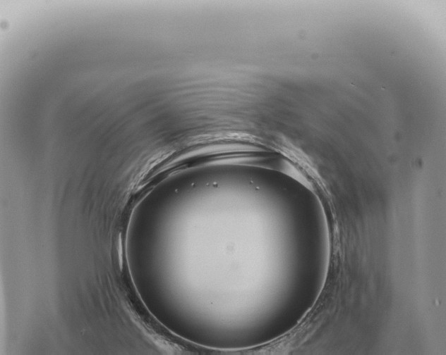 X0000073720013200608101915