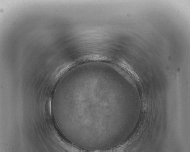 X0000073720014200608101915