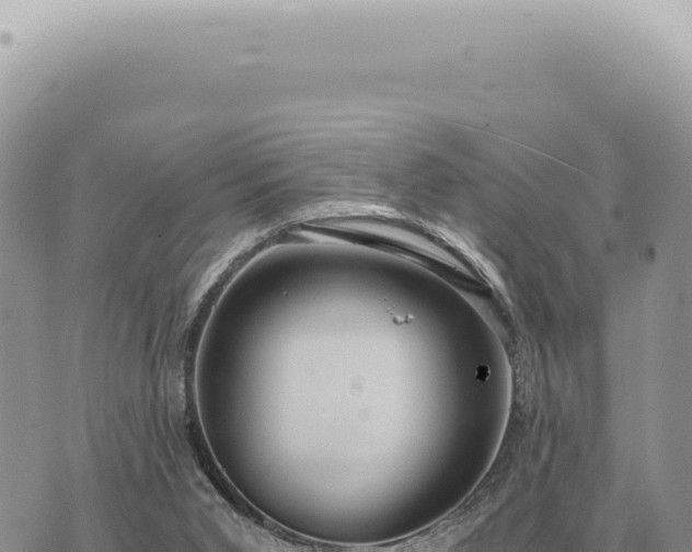 X0000073720015200608101915