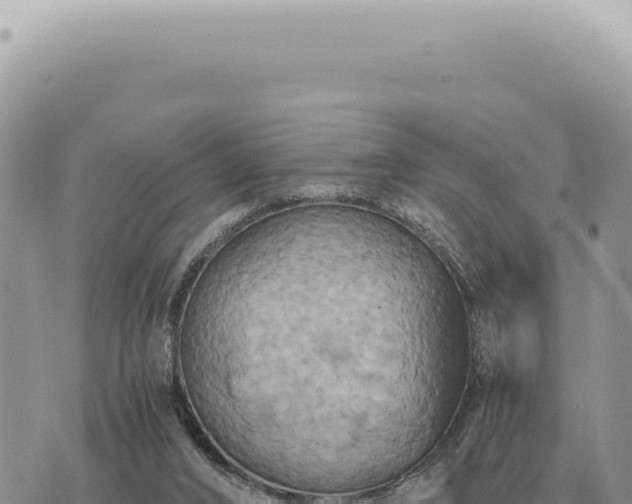 X0000073720016200608101915