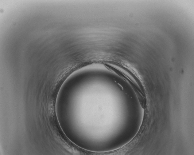 X0000073720017200608101915