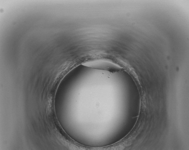 X0000073720018200608101915