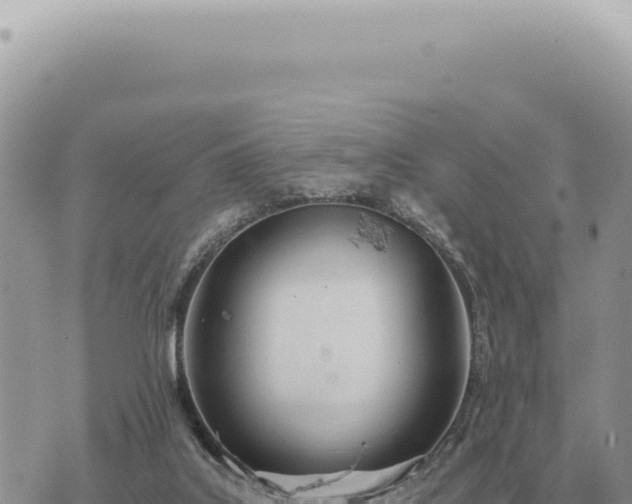 X0000073720019200608101915