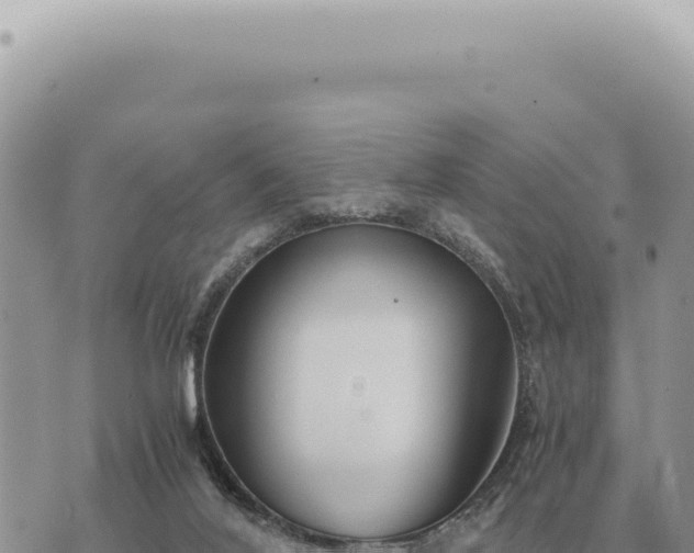 X0000073720020200608101915