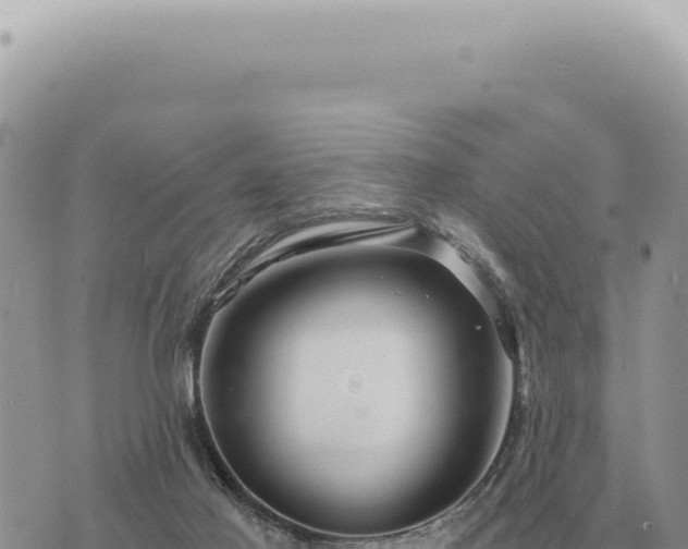 X0000073720021200608101915