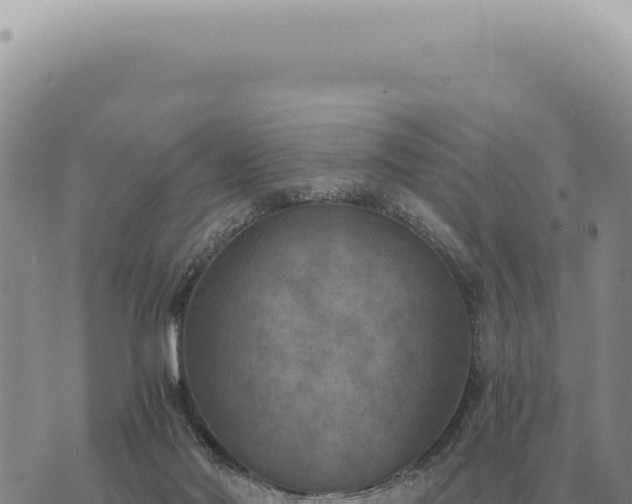 X0000073720022200608101915