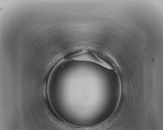 X0000073720023200608101915