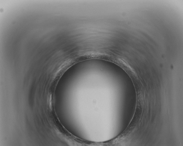 X0000073720024200608101915