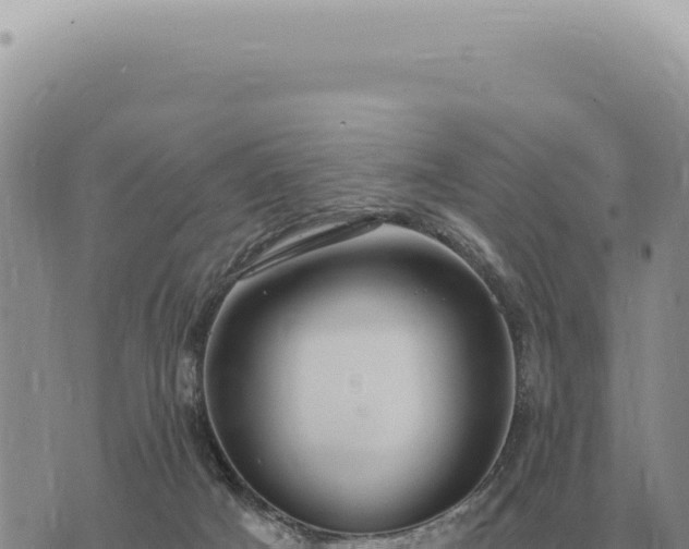 X0000073720025200608101915