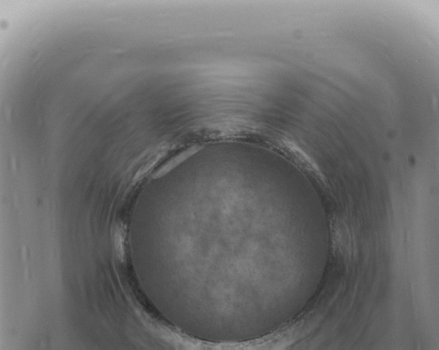 X0000073720026200608101915