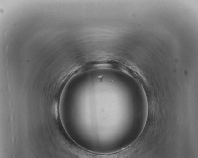 X0000073720027200608101915