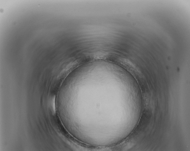 X0000073720028200608101915