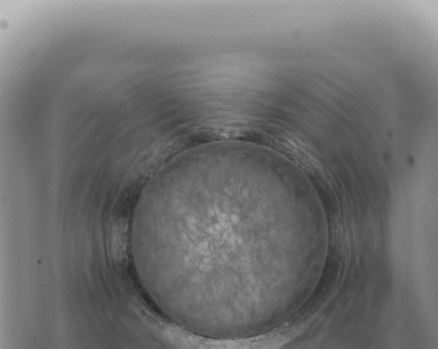 X0000073720030200608101915