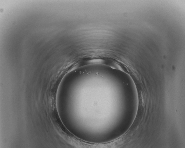 X0000073720031200608101915