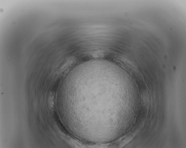 X0000073720032200608101915