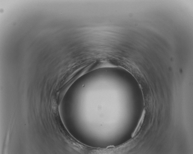 X0000073720033200608101915