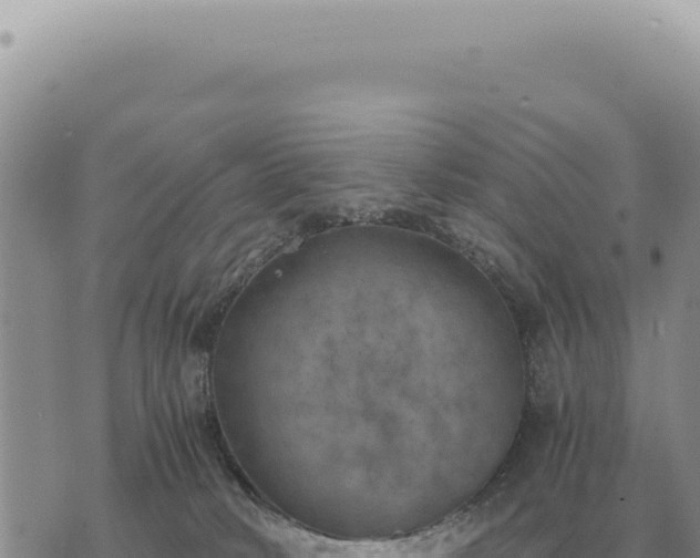 X0000073720034200608101915