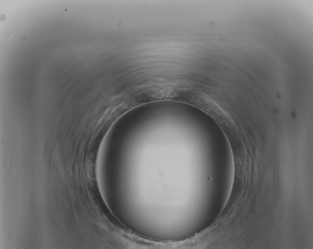 X0000073720035200608101915