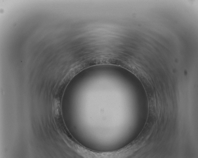 X0000073720038200608101915